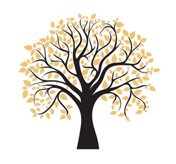 Wealth of Wisdom book cover